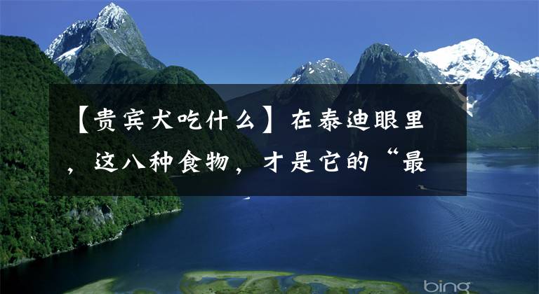 【貴賓犬吃什么】在泰迪眼里，這八種食物，才是它的“最愛”！