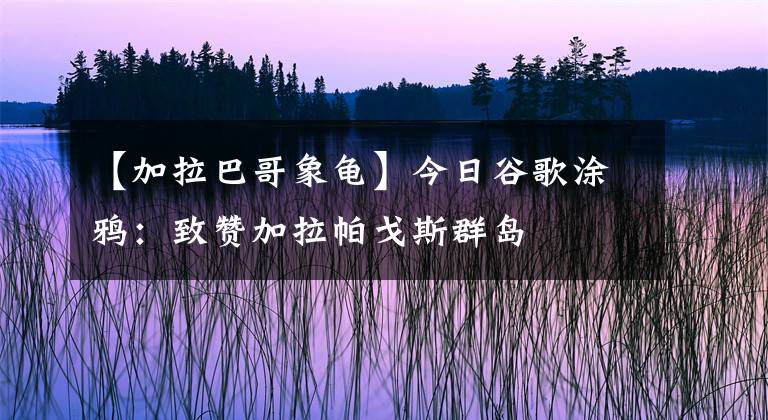 【加拉巴哥象龜】今日谷歌涂鴉：致贊加拉帕戈斯群島