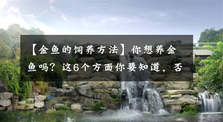 【金魚的飼養(yǎng)方法】你想養(yǎng)金魚嗎？這6個方面你要知道，否則我勸你還是別養(yǎng)了吧