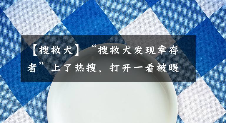 【搜救犬】“搜救犬發(fā)現(xiàn)幸存者”上了熱搜，打開一看被暖哭了