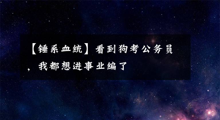 【錘系血統(tǒng)】看到狗考公務(wù)員，我都想進事業(yè)編了