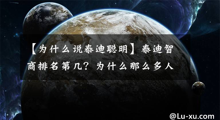 【為什么說泰迪聰明】泰迪智商排名第幾？為什么那么多人養(yǎng)泰迪？