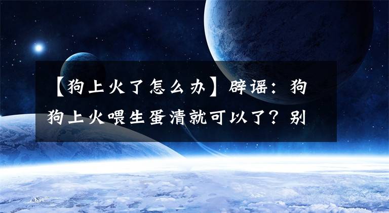 【狗上火了怎么辦】辟謠：狗狗上火喂生蛋清就可以了？別再讓民間偏方荼毒你的大腦了