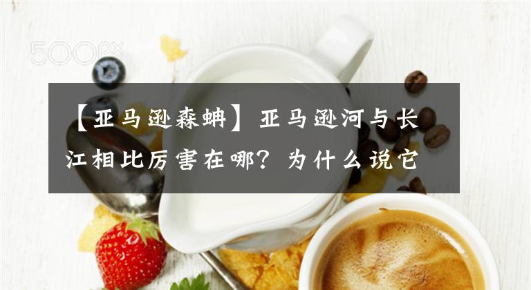 【亞馬遜森蚺】亞馬遜河與長江相比厲害在哪？為什么說它可怕，沒人敢下河游泳？