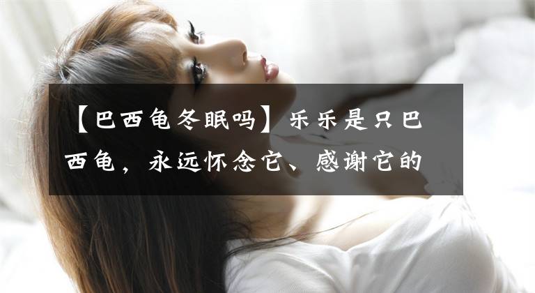 【巴西龜冬眠嗎】樂樂是只巴西龜，永遠(yuǎn)懷念它、感謝它的陪伴