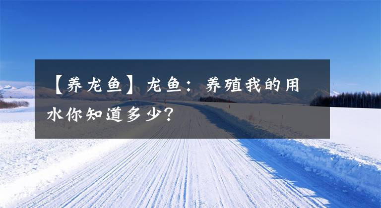 【養(yǎng)龍魚】龍魚：養(yǎng)殖我的用水你知道多少？