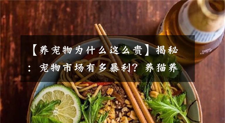 【養(yǎng)寵物為什么這么貴】揭秘：寵物市場有多暴利？養(yǎng)貓養(yǎng)狗的“壓力山大”