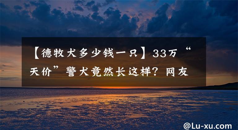 【德牧犬多少錢一只】33萬(wàn)“天價(jià)”警犬竟然長(zhǎng)這樣？網(wǎng)友：連舌苔都那么健康…