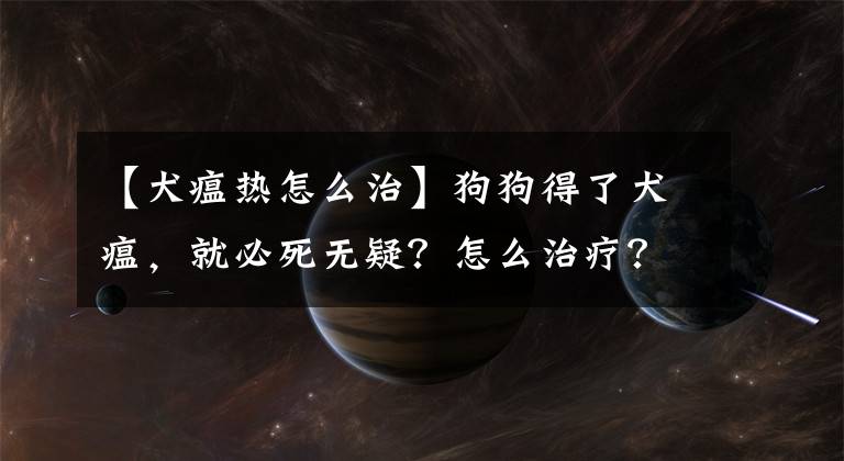 【犬瘟熱怎么治】狗狗得了犬瘟，就必死無疑？怎么治療？