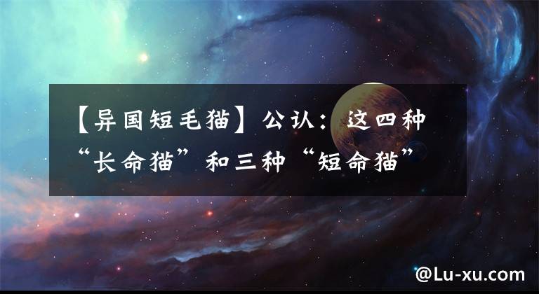 【異國(guó)短毛貓】公認(rèn)：這四種“長(zhǎng)命貓”和三種“短命貓”，有你家的嗎？