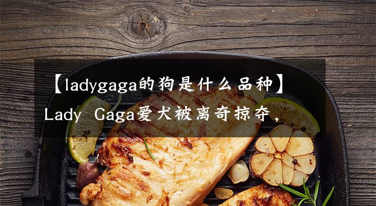 【ladygaga的狗是什么品種】Lady Gaga愛犬被離奇掠奪，懸賞50萬韓元，希望愛犬回來。