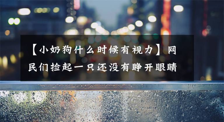 【小奶狗什么時候有視力】網(wǎng)民們撿起一只還沒有睜開眼睛的小奶狗，帶回了家，成為了撒嬌的小公主。