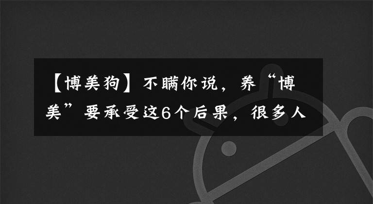 【博美狗】不瞞你說，養(yǎng)“博美”要承受這6個后果，很多人受不了