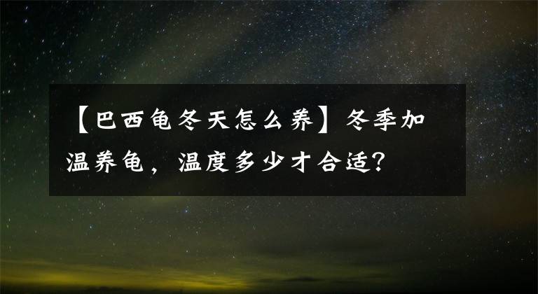 【巴西龜冬天怎么養(yǎng)】冬季加溫養(yǎng)龜，溫度多少才合適？