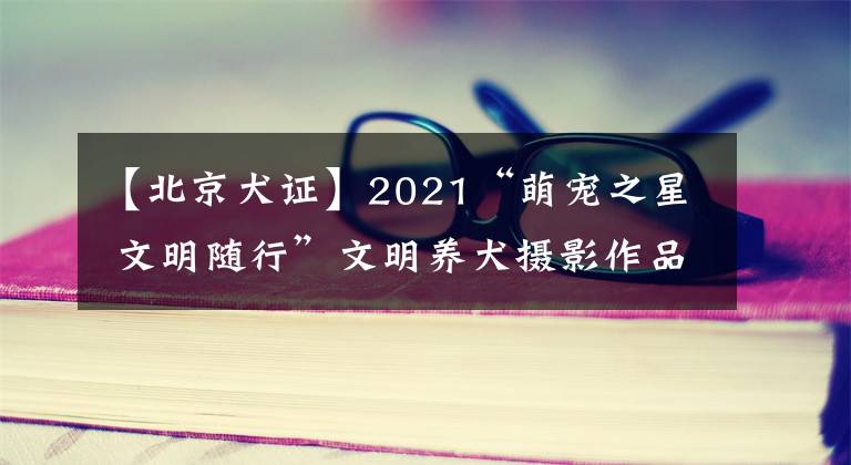 【北京犬證】2021“萌寵之星 文明隨行”文明養(yǎng)犬?dāng)z影作品有獎(jiǎng)?wù)骷顒?dòng)開(kāi)始啦