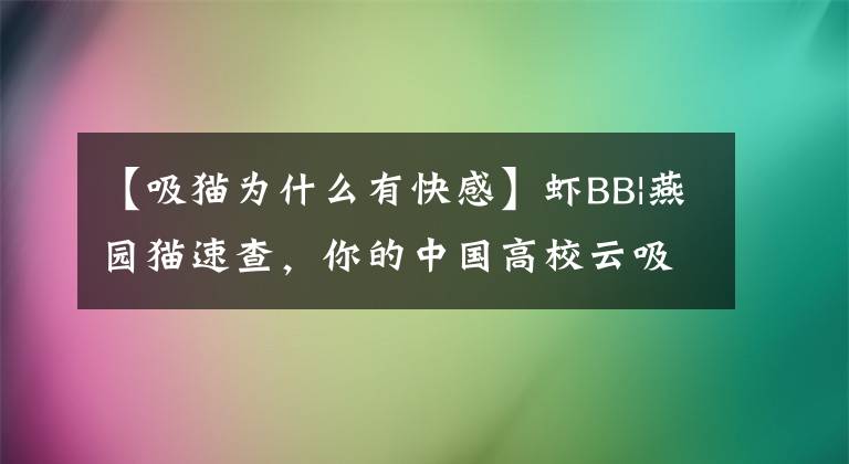 【吸貓為什么有快感】蝦BB|燕園貓速查，你的中國(guó)高校云吸貓手冊(cè)