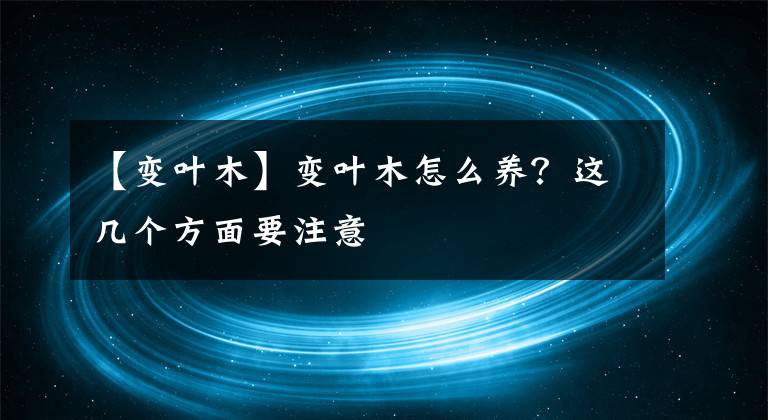 【變?nèi)~木】變?nèi)~木怎么養(yǎng)？這幾個方面要注意