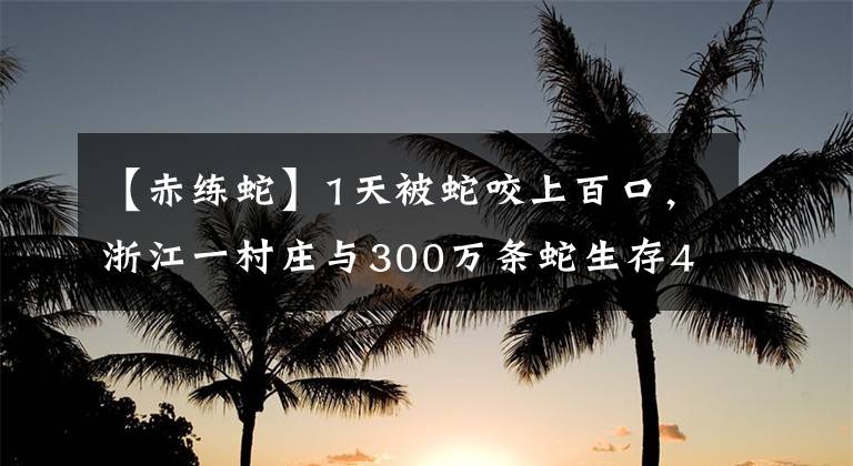 【赤練蛇】1天被蛇咬上百口，浙江一村莊與300萬條蛇生存40年，靠蛇來賺錢