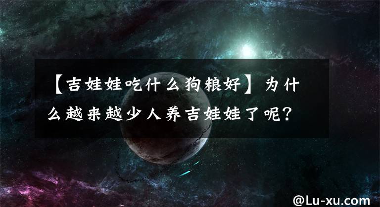 【吉娃娃吃什么狗糧好】為什么越來越少人養(yǎng)吉娃娃了呢？吉娃娃的優(yōu)缺點大分析