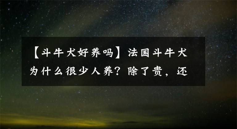 【斗牛犬好養(yǎng)嗎】法國(guó)斗牛犬為什么很少人養(yǎng)？除了貴，還有這幾個(gè)原因