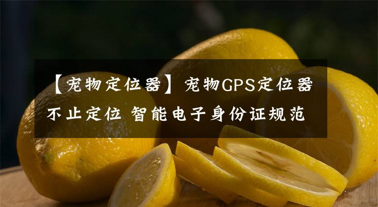 【寵物定位器】寵物GPS定位器不止定位 智能電子身份證規(guī)范文明養(yǎng)寵