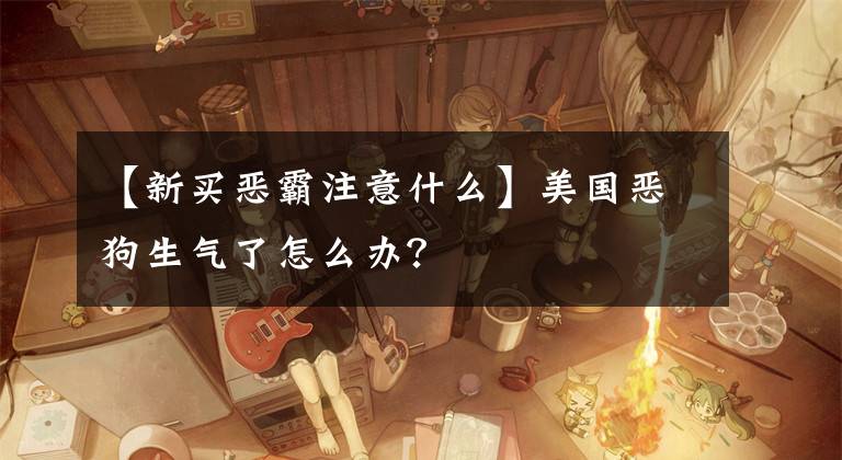 【新買惡霸注意什么】美國惡狗生氣了怎么辦？