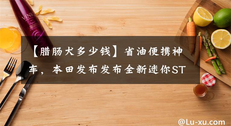 【臘腸犬多少錢】省油便攜神車，本田發(fā)布發(fā)布全新迷你ST125 Dax“臘腸狗”