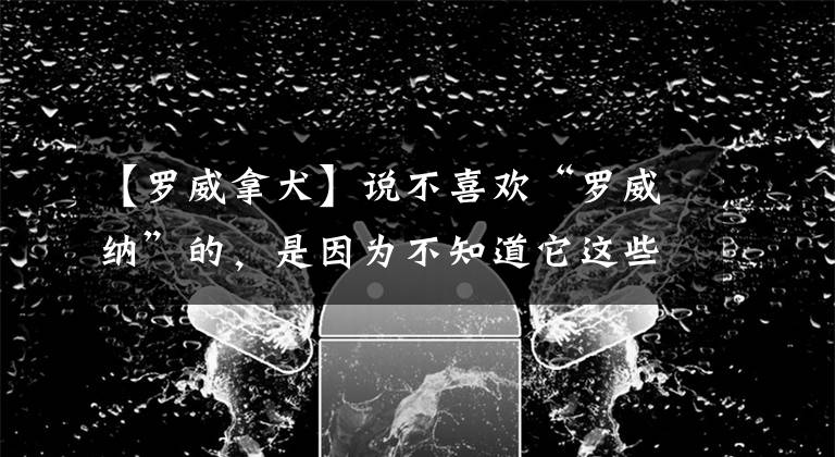 【羅威拿犬】說(shuō)不喜歡“羅威納”的，是因?yàn)椴恢浪@些好處