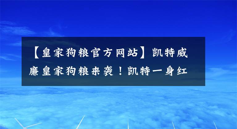 【皇家狗糧官方網(wǎng)站】凱特威廉皇家狗糧來(lái)襲！凱特一身紅亮相超常發(fā)揮，甜蜜度不輸梅根