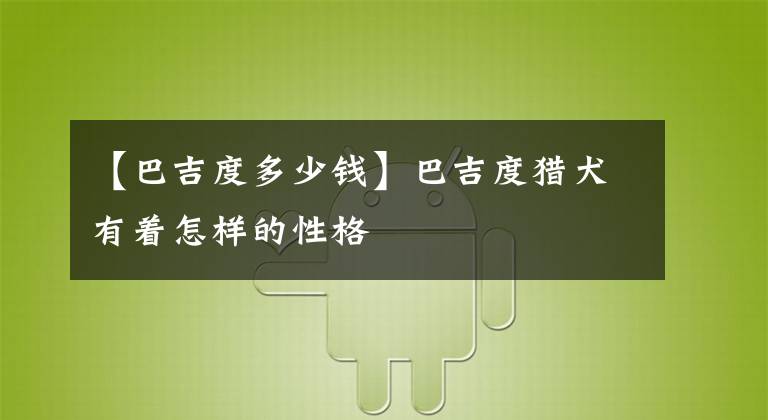 【巴吉度多少錢】巴吉度獵犬有著怎樣的性格