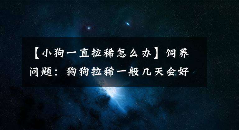 【小狗一直拉稀怎么辦】飼養(yǎng)問題：狗狗拉稀一般幾天會好？拉了好幾天要怎么處理？