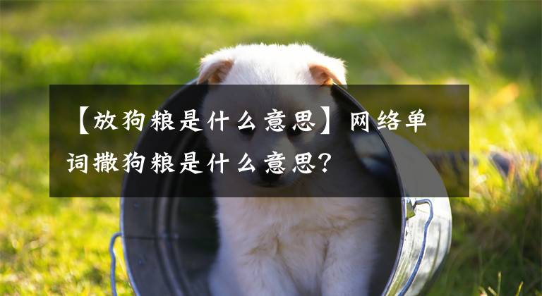 【放狗糧是什么意思】網(wǎng)絡(luò)單詞撒狗糧是什么意思？