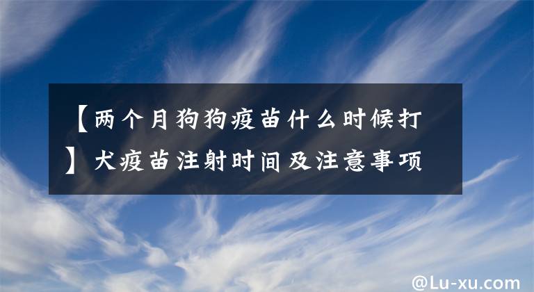 【兩個(gè)月狗狗疫苗什么時(shí)候打】犬疫苗注射時(shí)間及注意事項(xiàng)