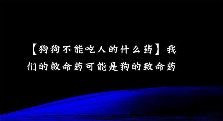 【狗狗不能吃人的什么藥】我們的救命藥可能是狗的致命藥！看這五種藥。在你家嗎？