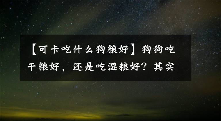 【可卡吃什么狗糧好】狗狗吃干糧好，還是吃濕糧好？其實混著吃狗狗更喜歡