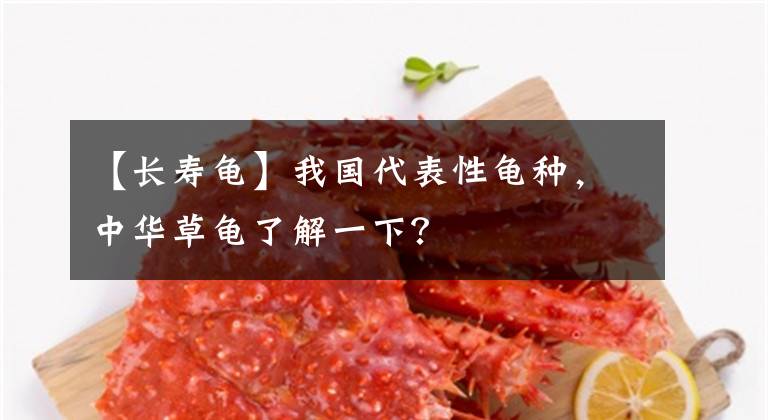 【長壽龜】我國代表性龜種，中華草龜了解一下？