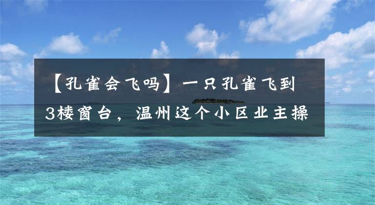 【孔雀會飛嗎】一只孔雀飛到3樓窗臺，溫州這個小區(qū)業(yè)主操碎了心