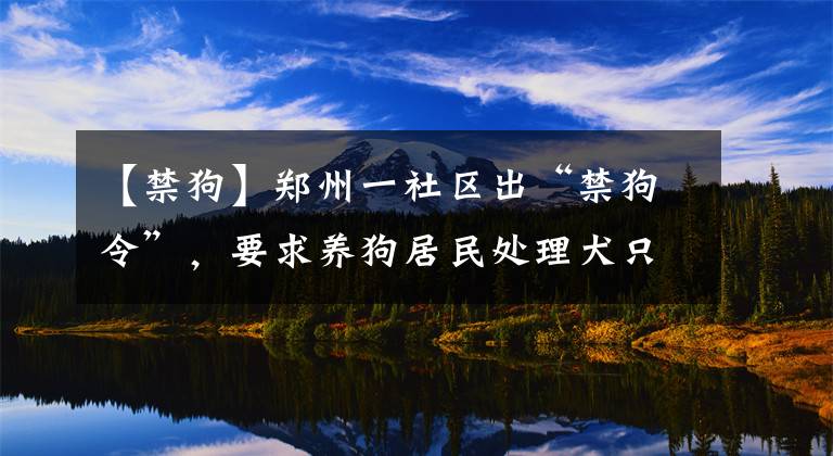 【禁狗】鄭州一社區(qū)出“禁狗令”，要求養(yǎng)狗居民處理犬只，否則處罰，業(yè)主質(zhì)疑一刀切