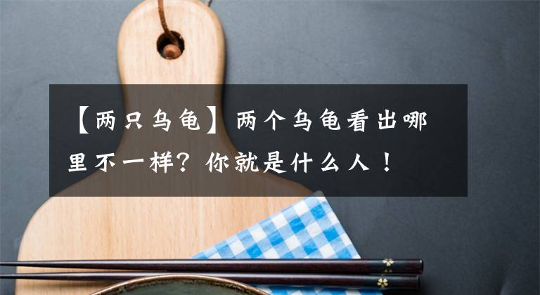 【兩只烏龜】兩個烏龜看出哪里不一樣？你就是什么人！