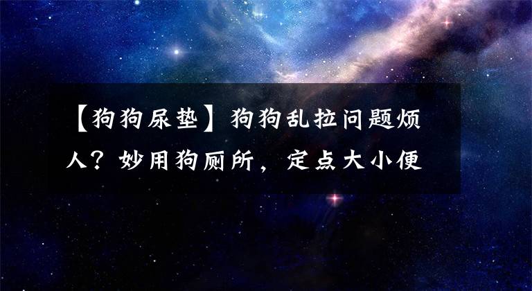 【狗狗尿墊】狗狗亂拉問(wèn)題煩人？妙用狗廁所，定點(diǎn)大小便訓(xùn)練事半功倍