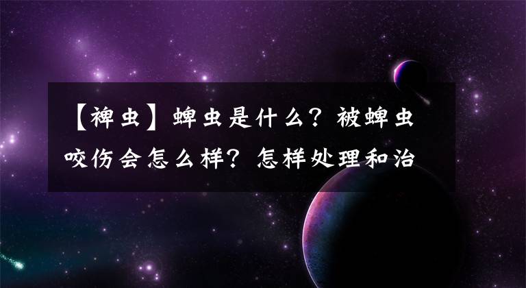 【裨蟲(chóng)】蜱蟲(chóng)是什么？被蜱蟲(chóng)咬傷會(huì)怎么樣？怎樣處理和治療呢