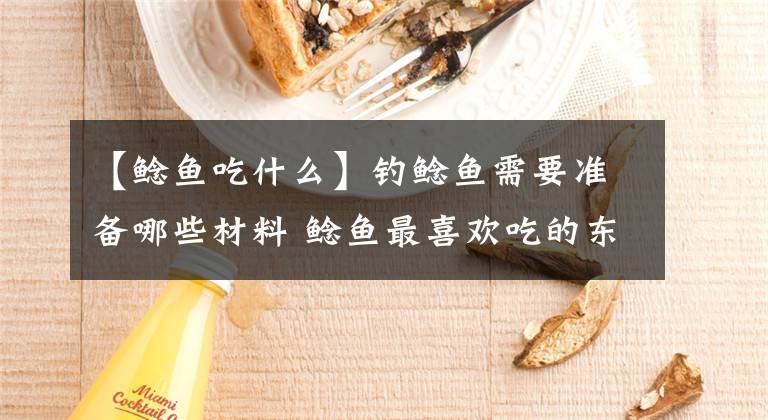 【鯰魚吃什么】釣鯰魚需要準備哪些材料 鯰魚最喜歡吃的東西 鯰魚的最愛