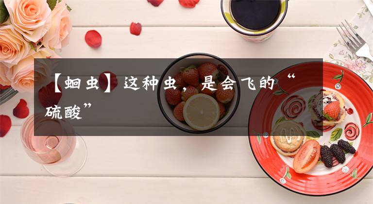 【蛔蟲(chóng)】這種蟲(chóng)，是會(huì)飛的“硫酸”