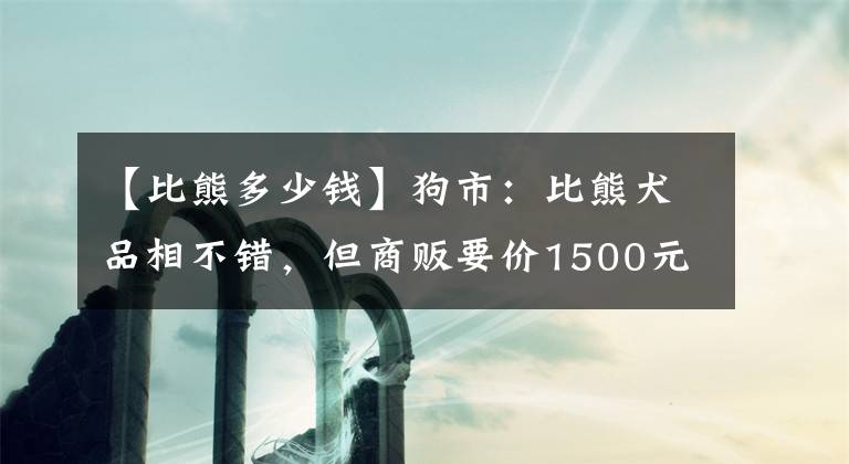 【比熊多少錢】狗市：比熊犬品相不錯(cuò)，但商販要價(jià)1500元，買主無法接受！