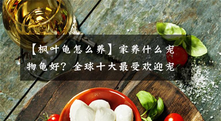 【楓葉龜怎么養(yǎng)】家養(yǎng)什么寵物龜好？全球十大最受歡迎寵物龜