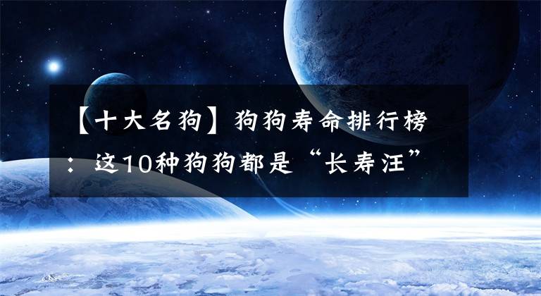 【十大名狗】狗狗壽命排行榜：這10種狗狗都是“長壽汪”，你家狗子排第幾？