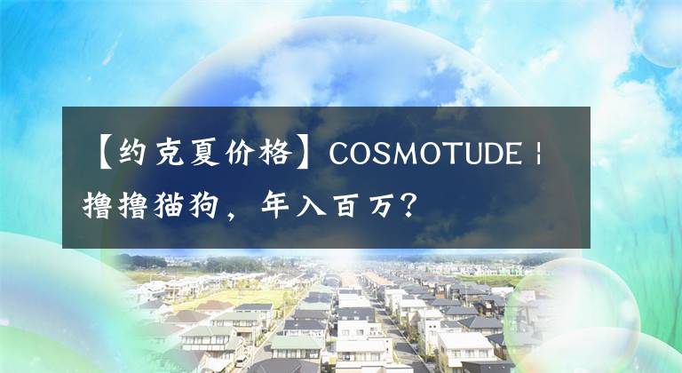 【約克夏價(jià)格】COSMOTUDE | 擼擼貓狗，年入百萬(wàn)？