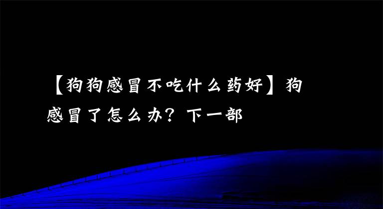 【狗狗感冒不吃什么藥好】狗感冒了怎么辦？下一部