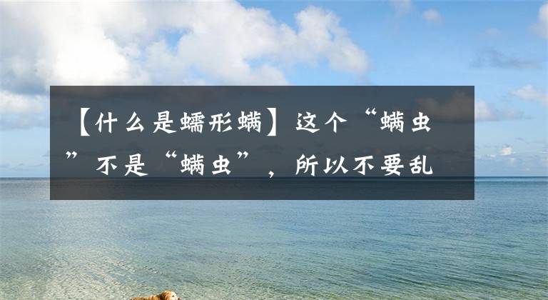 【什么是蠕形螨】這個(gè)“螨蟲”不是“螨蟲”，所以不要亂用藥