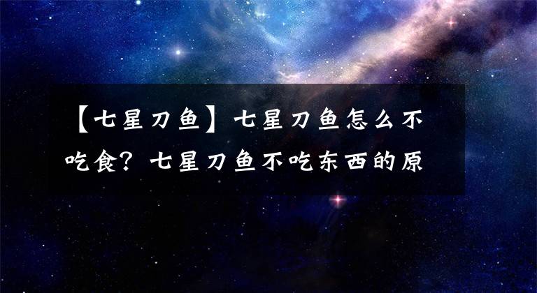 【七星刀魚(yú)】七星刀魚(yú)怎么不吃食？七星刀魚(yú)不吃東西的原因及解決方法介紹！